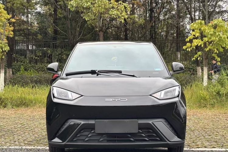 比亚迪 海鸥 2023款 活力版车身外观6007