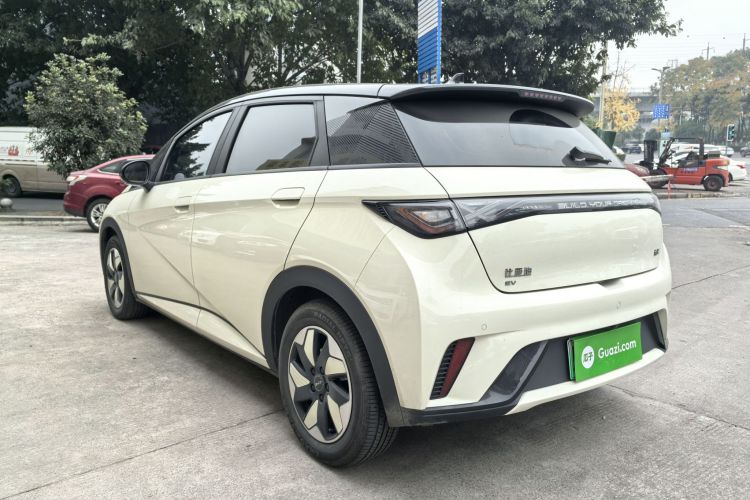 比亚迪 海豚 2024款 荣耀版 420km 时尚版车身外观6002