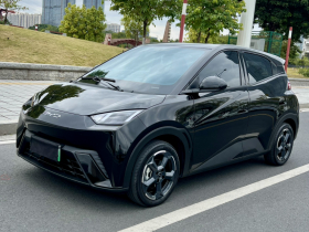 比亚迪 海鸥 2023款 自由版