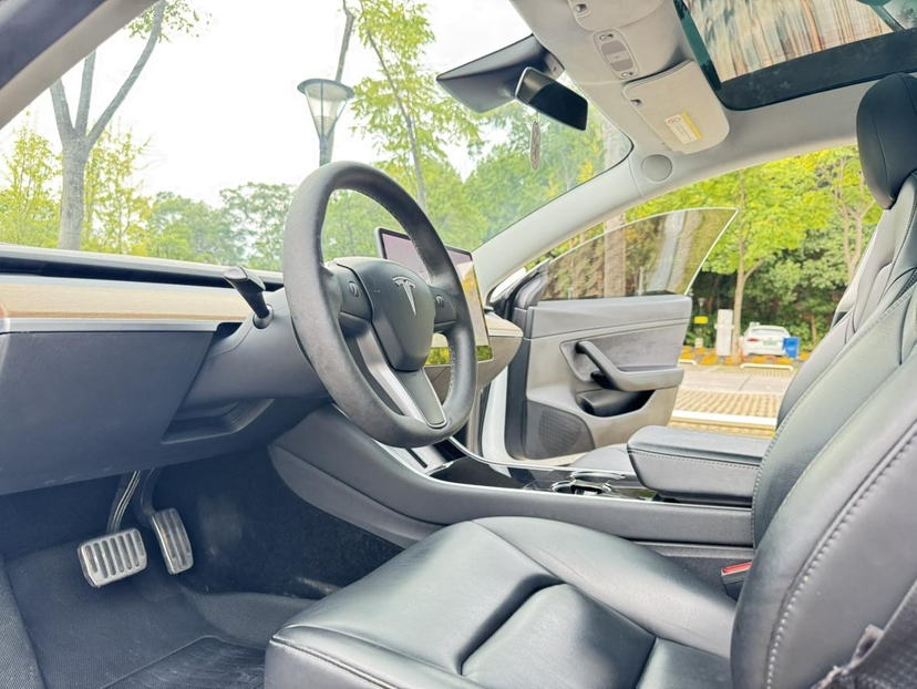 特斯拉 Model 3 2019款 标准续航后驱升级版