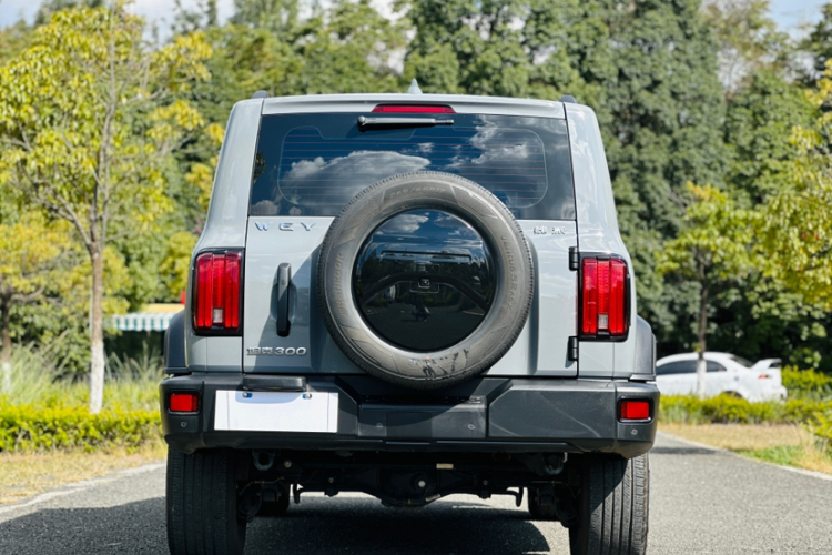 坦克300 2021款 越野版 2.0T 征服者车身外观6005