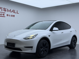 特斯拉 Model Y 2024款 后轮驱动版