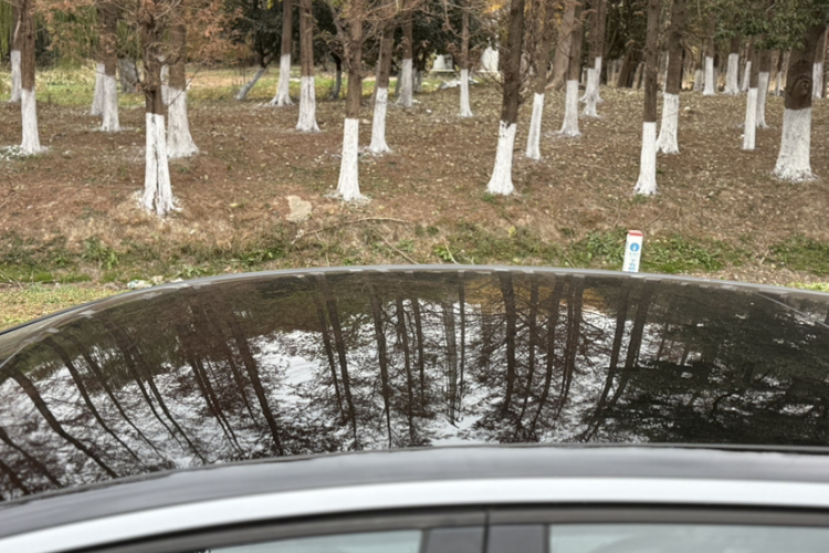 大众ID.3 2025款 聪明款 极智版局部细节57