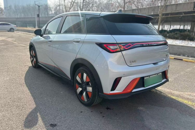 比亚迪 海豚 2021款 401km 骑士版车身外观6003