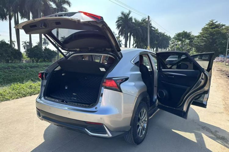 雷克萨斯NX 2020款 200 前驱 锋行版 国VI车身外观6011