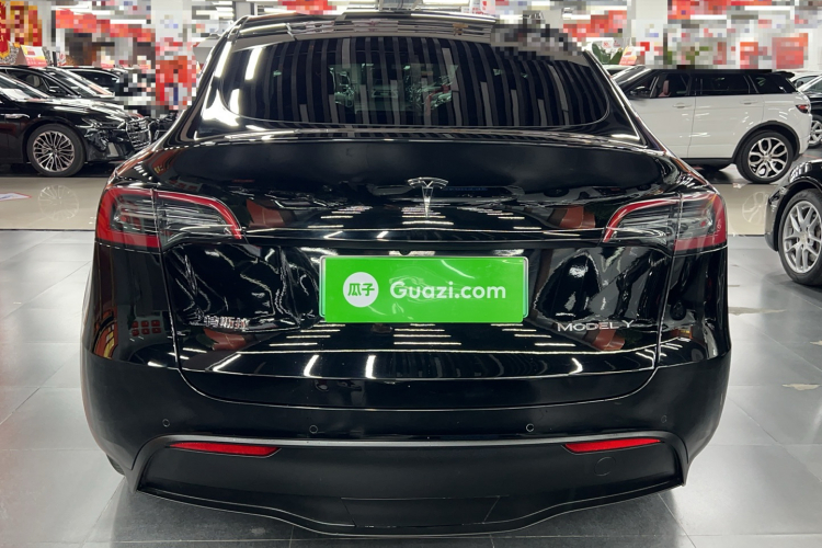 特斯拉 Model Y 2021款 标准续航后驱版车身外观6004