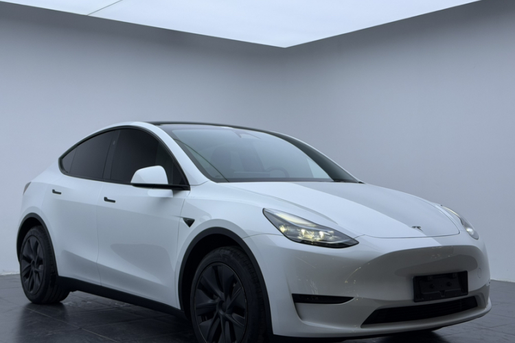 特斯拉 Model Y 2024款 后轮驱动版车身外观6004