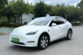 特斯拉 Model Y 2021款 长续航全轮驱动版