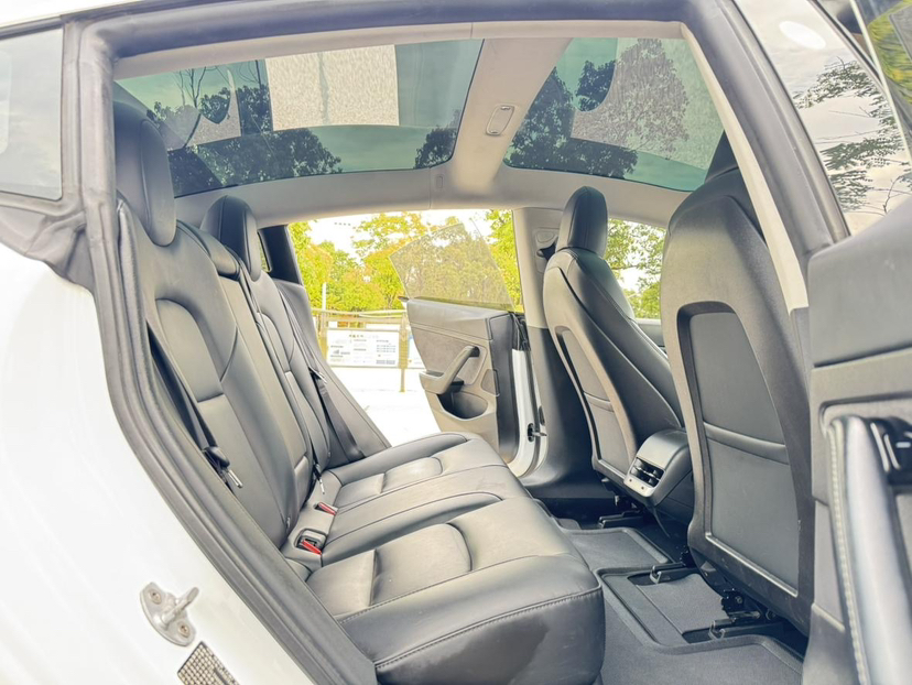 特斯拉 Model 3 2019款 标准续航后驱升级版