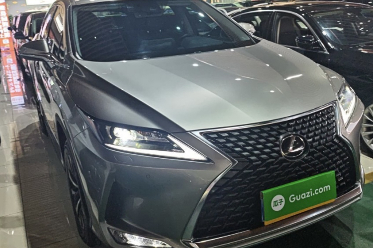 雷克萨斯RX 2020款 改款 300 两驱舒适版车身外观6002