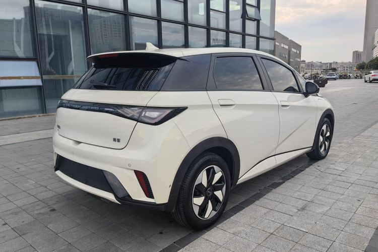 比亚迪 海豚 2024款 荣耀版 420km 时尚版车身外观6007