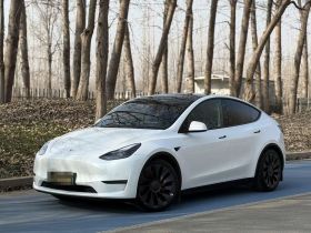 特斯拉 Model Y 2022款 Performance高性能全轮驱动版