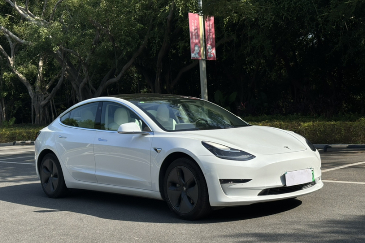 特斯拉 Model 3(进口) 2019款 长续航全轮驱动版车身外观6003