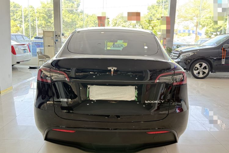 特斯拉 Model Y 2021款 标准续航后驱版车身外观6008