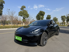 特斯拉 Model 3 2022款 后轮驱动版