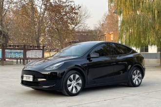 特斯拉 Model Y 2021款 标准续航后驱版