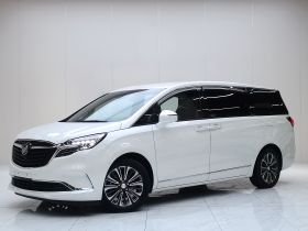 别克GL8 2021款 ES陆尊 653T 旗舰型