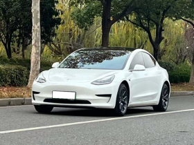 特斯拉 Model 3 2020款 改款 标准续航后驱升级版