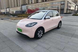 五菱汽车 五菱缤果 2023款 410km 灵犀尊享款