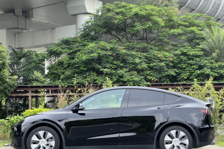 特斯拉 Model Y 2022款 长续航全轮驱动版车身外观6002