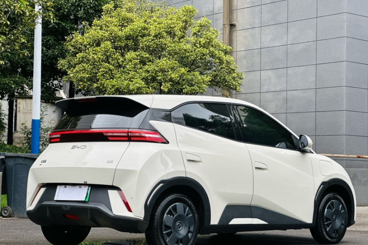 比亚迪 海鸥 2024款 荣耀版 305km 活力版车身外观6002