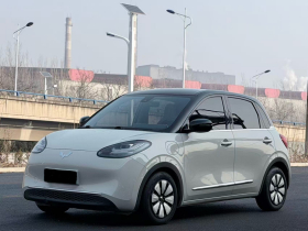 五菱汽车 五菱缤果 2023款 333km 悦享+款