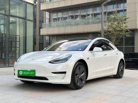 特斯拉 Model 3 2020款 改款 标准续航后驱升级版