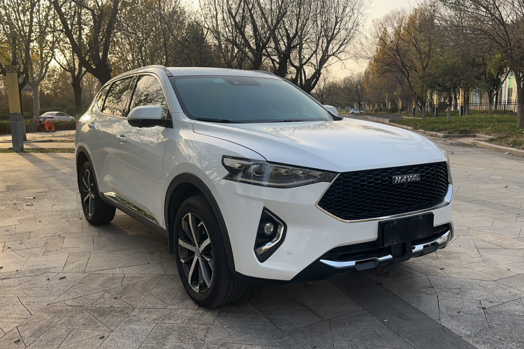 哈弗F7 2019款 1.5T 两驱i潮 国V车身外观6002