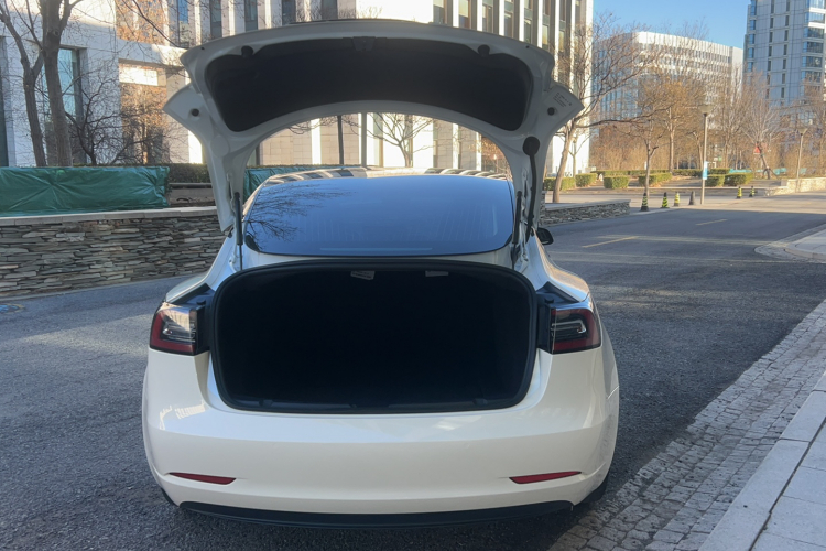 特斯拉 Model 3(进口) 2019款 标准续航后驱升级版(52度)局部细节9001