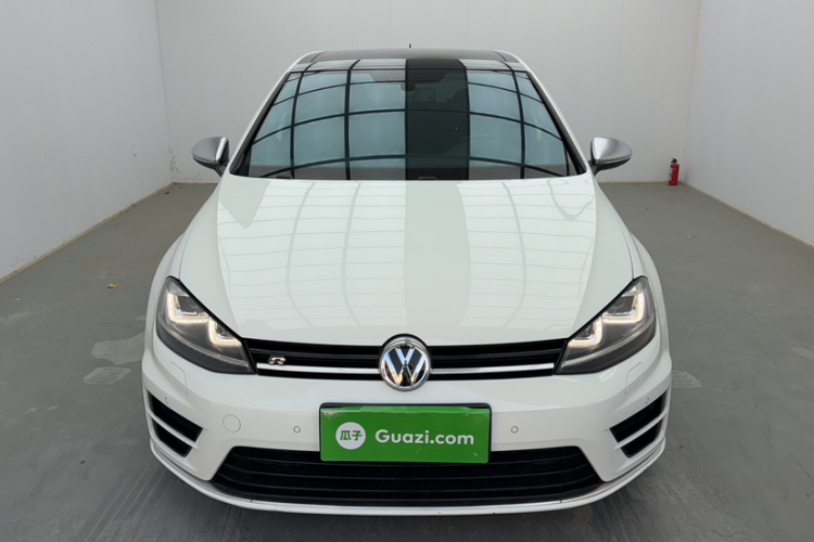 大众 高尔夫(进口) 2015款 2.0TSI R车身外观6001