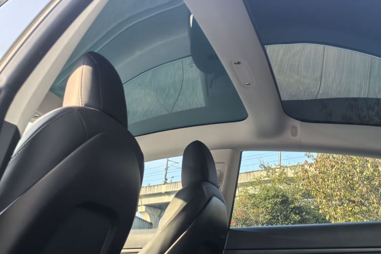 特斯拉 Model 3(进口) 2019款 长续航全轮驱动版局部细节22