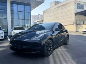 特斯拉 Model Y 2022款 改款 长续航全轮驱动版