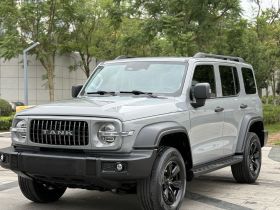 坦克300 2021款 越野版 2.0T 征服者