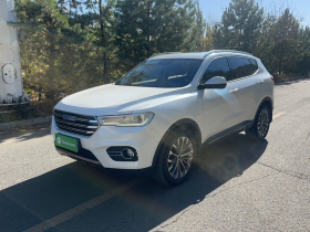 哈弗H6 2017款 蓝标 2.0T 自动两驱智尚型