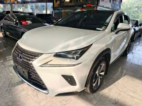 雷克萨斯NX 2017款 300h 全驱 锋致版