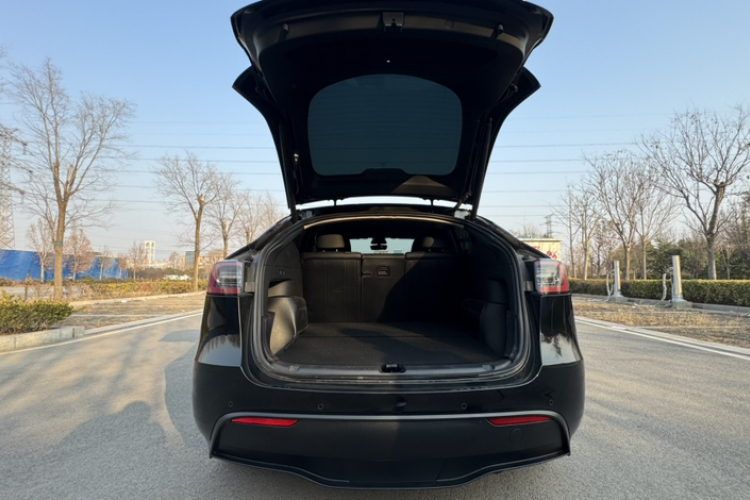 特斯拉 Model Y 2023款 长续航全轮驱动版局部细节23