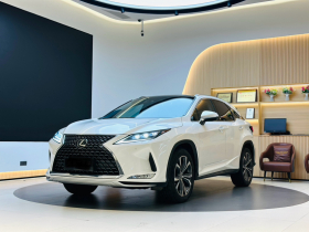 雷克萨斯RX 2020款 改款 300 四驱典雅版