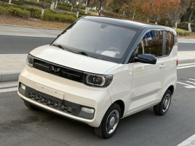 五菱汽车 宏光MINIEV 2021款 马卡龙时尚款 磷酸铁锂