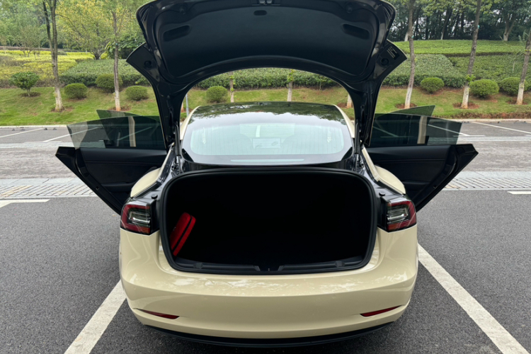 特斯拉 Model 3 2019款 标准续航后驱升级版车身外观6004