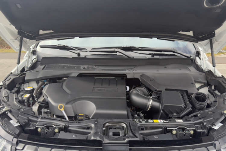 路虎 发现运动版 2020款 249PS R-Dynamic 性能科技版 7座局部细节24