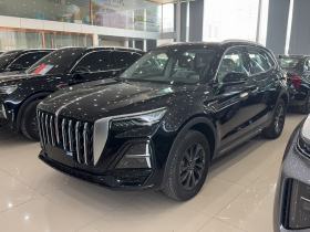 红旗HS5 2025款 2.0T 两驱旗享Pro版