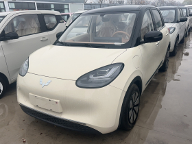 五菱汽车 五菱缤果 2025款 333km 悦享款