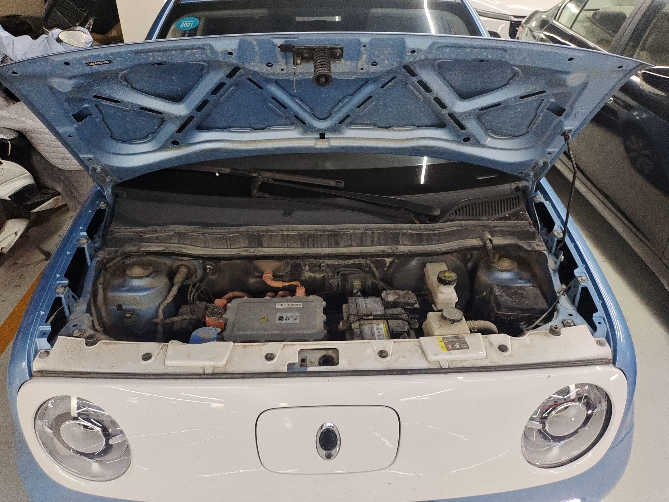 欧拉黑猫 2021款 351km 标准型