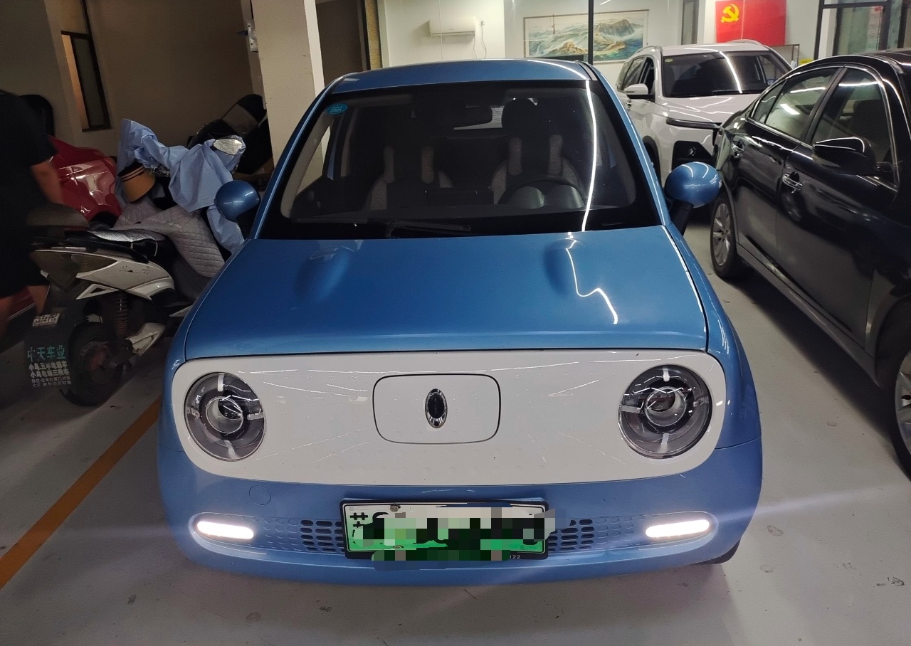 欧拉黑猫 2021款 351km 标准型