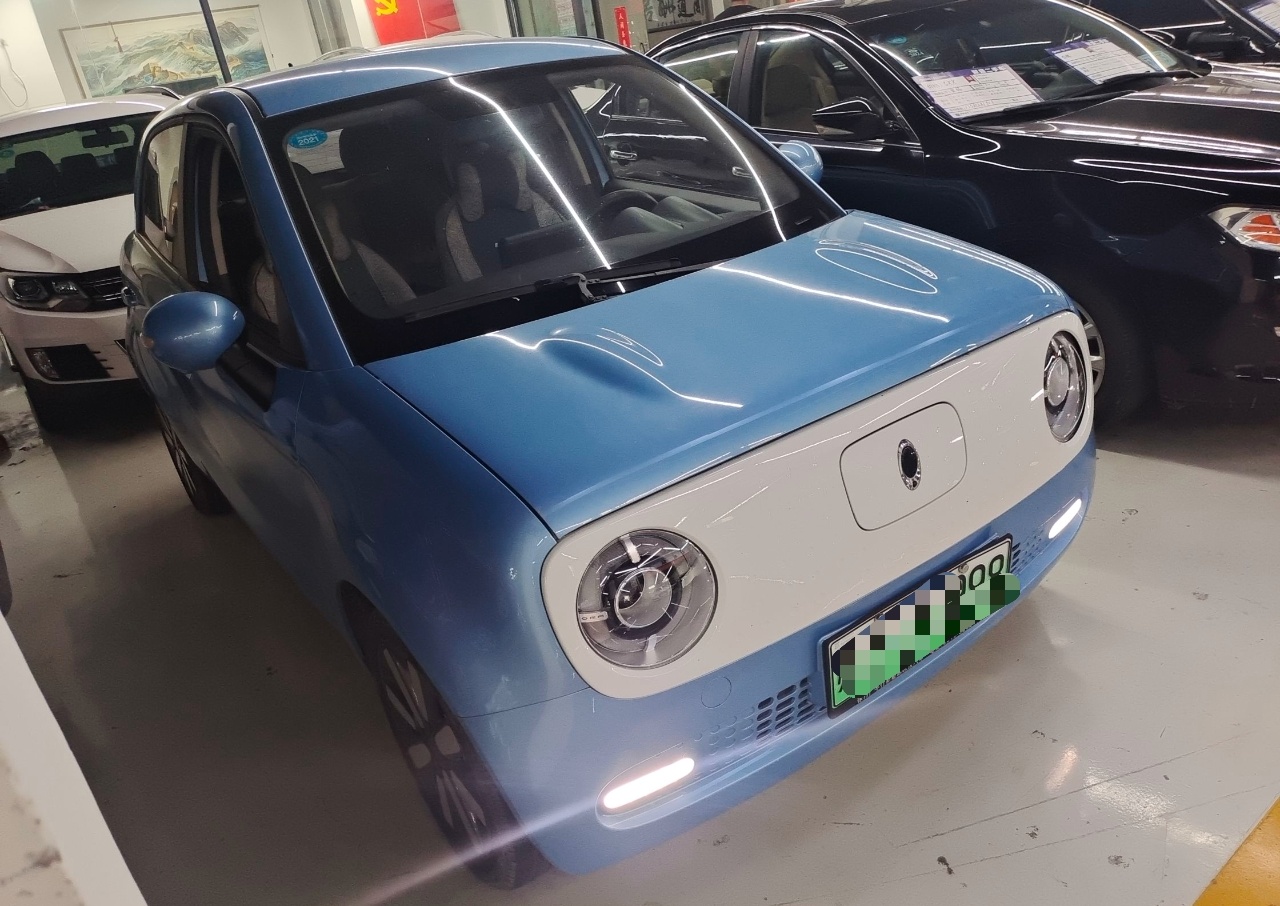 欧拉黑猫 2021款 351km 标准型