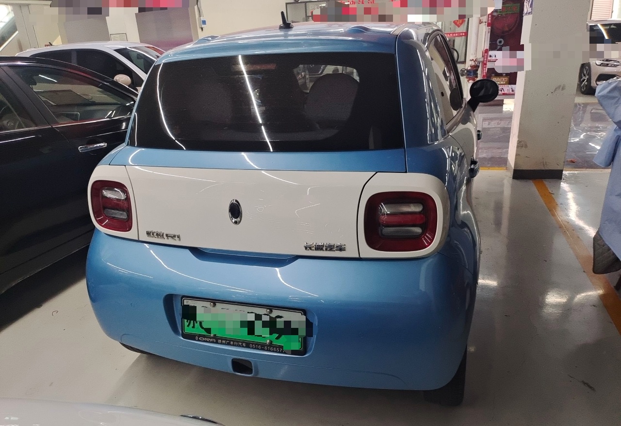 欧拉黑猫 2021款 351km 标准型