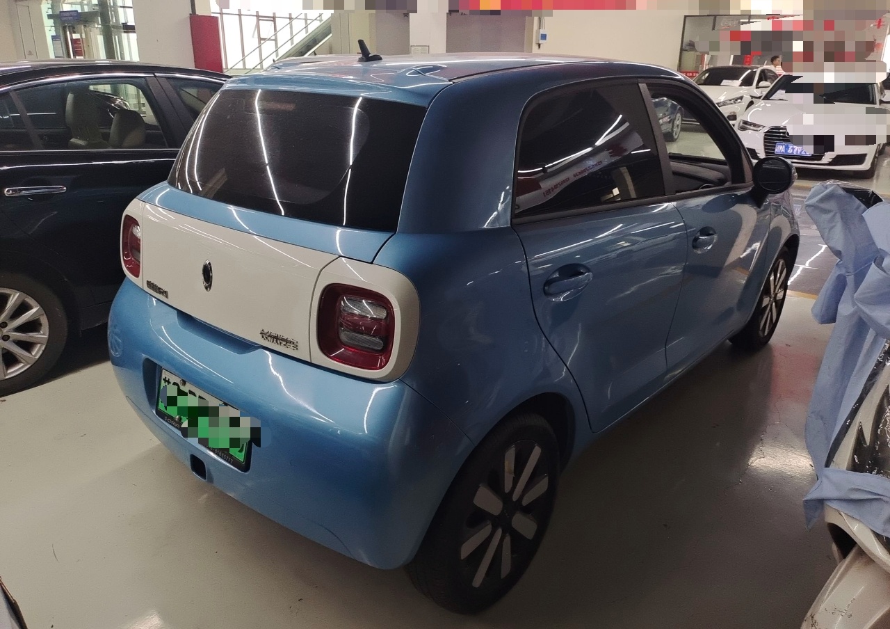 欧拉黑猫 2021款 351km 标准型