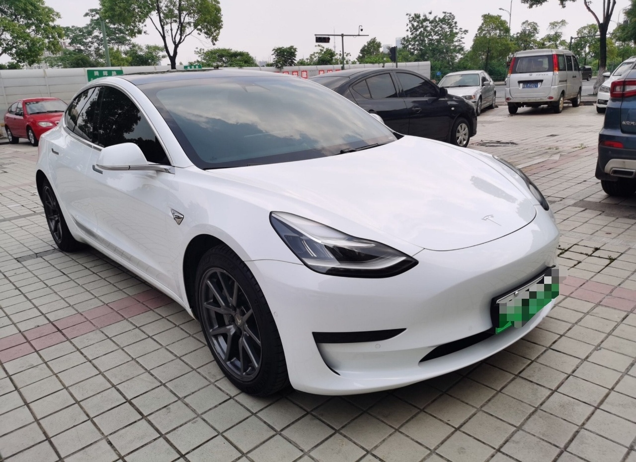 特斯拉 Model 3 2020款 改款 标准续航后驱升级版