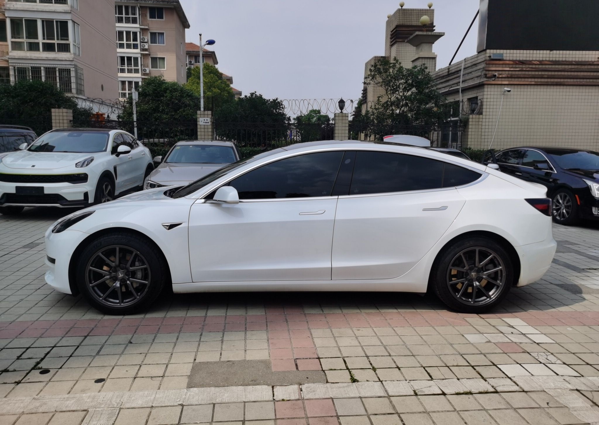 特斯拉 Model 3 2020款 改款 标准续航后驱升级版