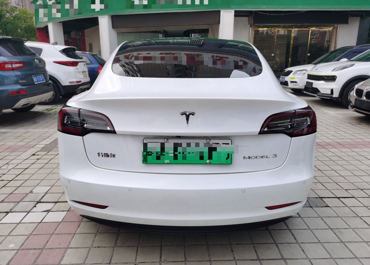 特斯拉 Model 3 2020款 改款 标准续航后驱升级版